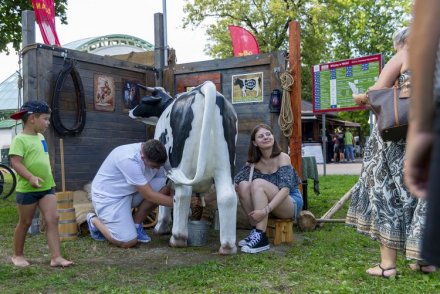 XXIII Wiślaczek Country